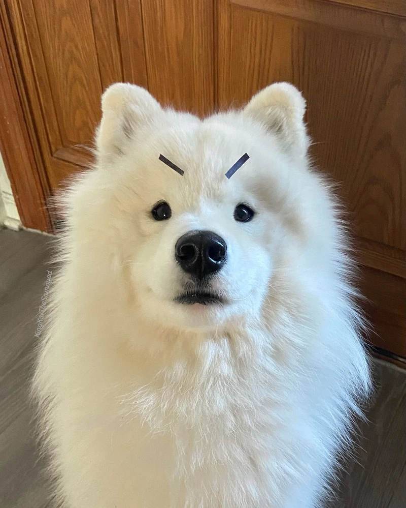 Cover photo for Example Furmeet