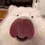 Cover photo for Samoyed :3