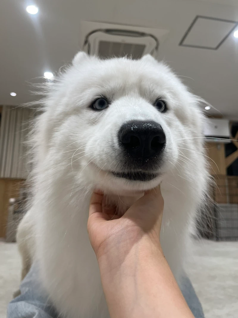 stare.jpg