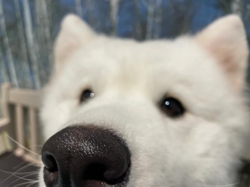 test.jpg
